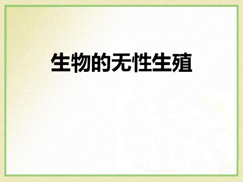 苏教版八年级下册生物 《生物的无性生殖》PPT课件 (2)