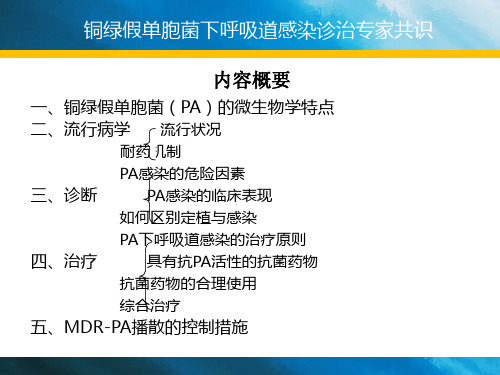 铜绿假单胞菌诊治专家共识