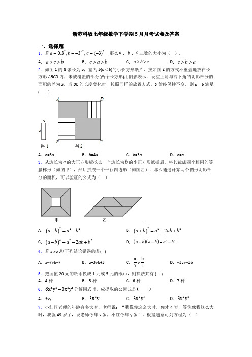 新苏科版七年级数学下学期5月月考试卷及答案