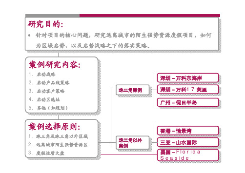 世联地产 度假大盘开发模式研究