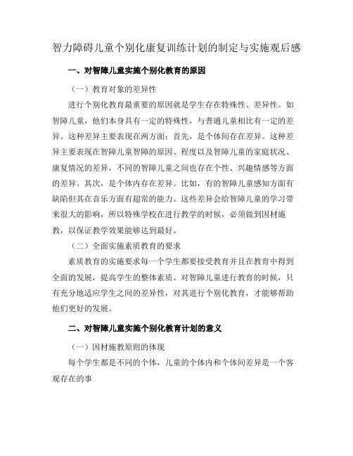 智力障碍儿童个别化康复训练计划的制定与实施观后感