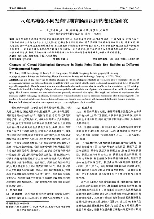 八点黑獭兔不同发育时期盲肠组织结构变化的研究