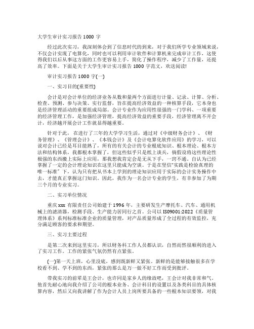 大学生审计实习报告1000字