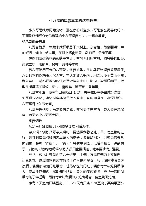 小八哥的饲养基本方法有哪些