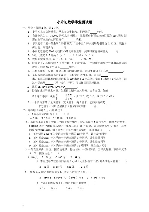 人教版小升初数学毕业测试 题