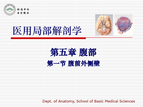 医用局部解剖学-腹前外侧壁33页PPT文档