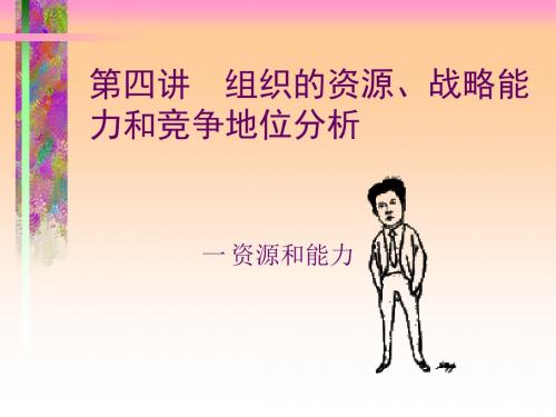 组织的资源战略能力和竞争地位分析课件