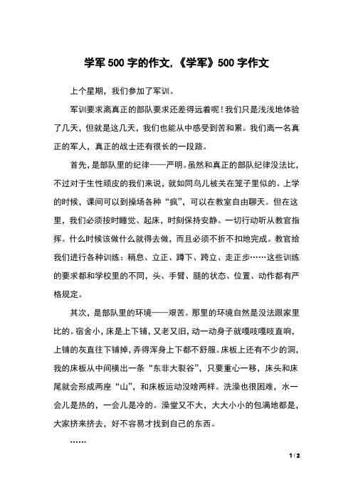 学军500字的作文,《学军》500字作文