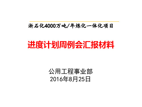 浙石化4000万吨年炼化一体化项目周报汇报材料