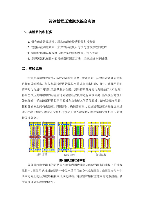 污泥板框压滤脱水综合实验