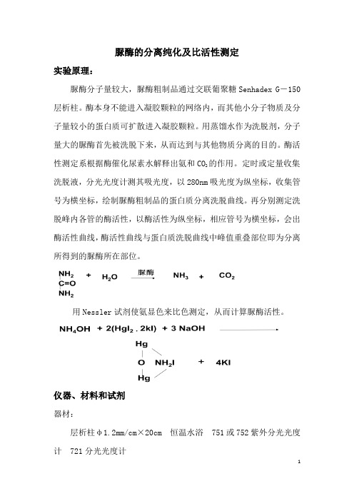 脲酶的分离纯化及比活性测定