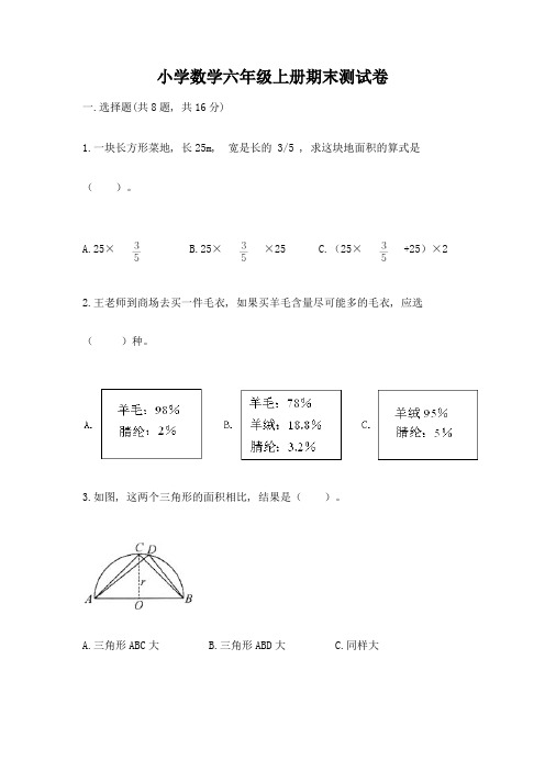 小学数学六年级上册期末测试卷(完整版)word版