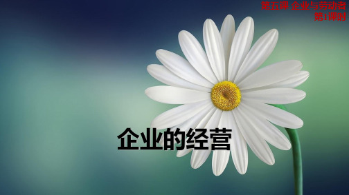 人教版高中政治必修1精品课件14:5.1 企业的经营