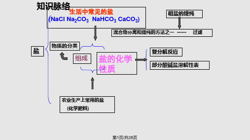 盐和化肥复习PPT课件