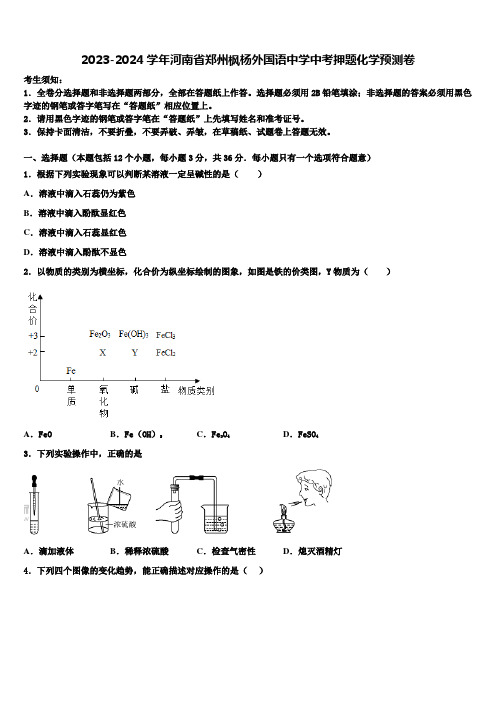 2023-2024学年河南省郑州枫杨外国语中学中考押题化学预测卷含解析