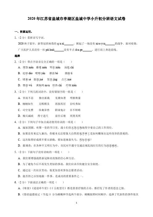 2020年江苏省盐城市亭湖区盐城中学小升初分班语文试卷(含解析)印刷版