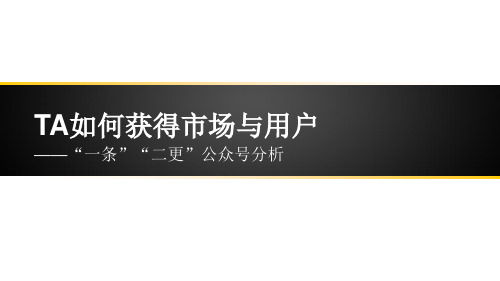 一条,二更公众号分析PPT课件