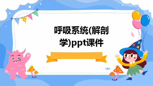 呼吸系统(解剖学)PPT课件