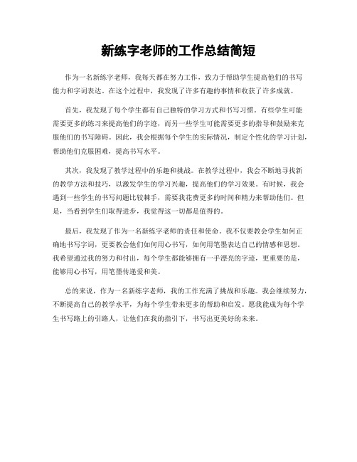 新练字老师的工作总结简短