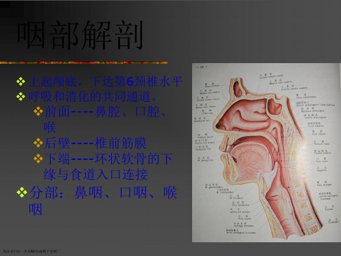 咽喉部解剖及生理、窒息和喉阻塞的诊治