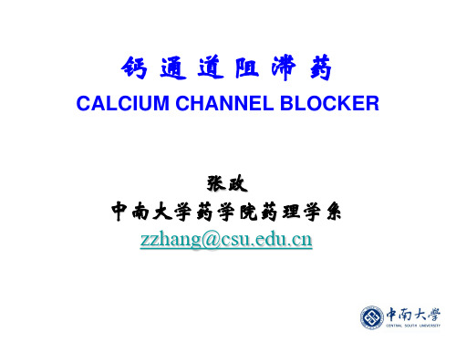 钙阻断药calciumchannelblockers汇总.