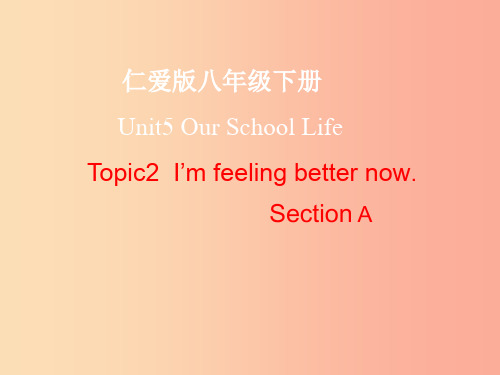 八年级英语下册 Unit 5 Feeling excited Topic 2 I’m feeling