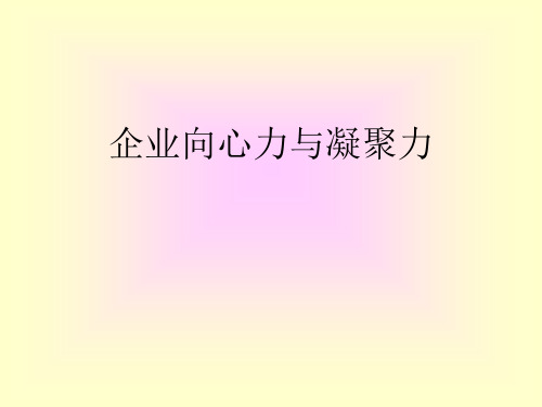 公司向心力与凝聚力