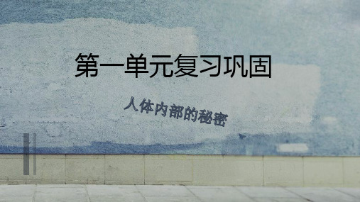 青岛版小学科学五年级下册第一单元复习巩固