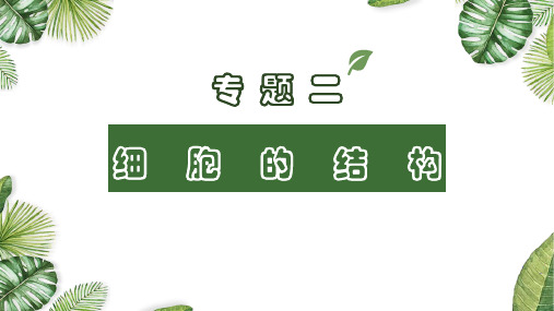 专题02 细胞的结构-2021年高考备考生物一轮复习课件(共69张PPT)