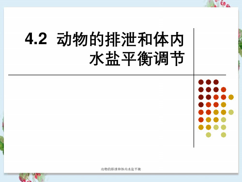 动物的排泄和体内水盐平衡