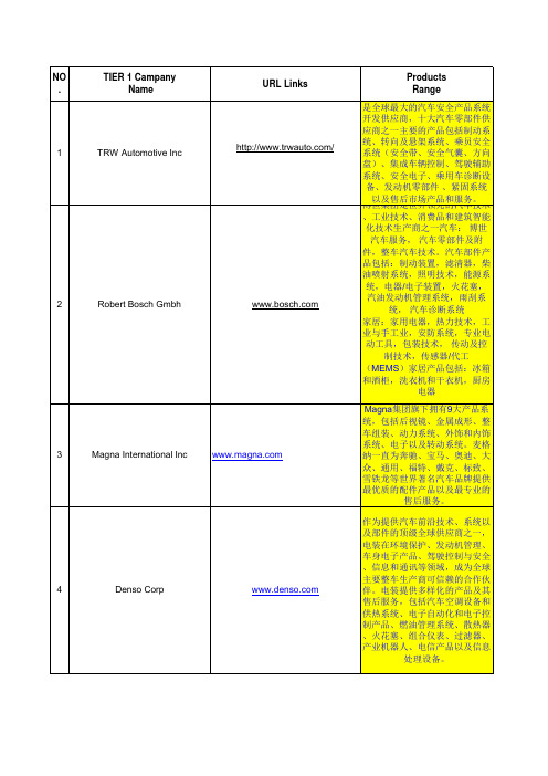 汽车TIER 1 supplier