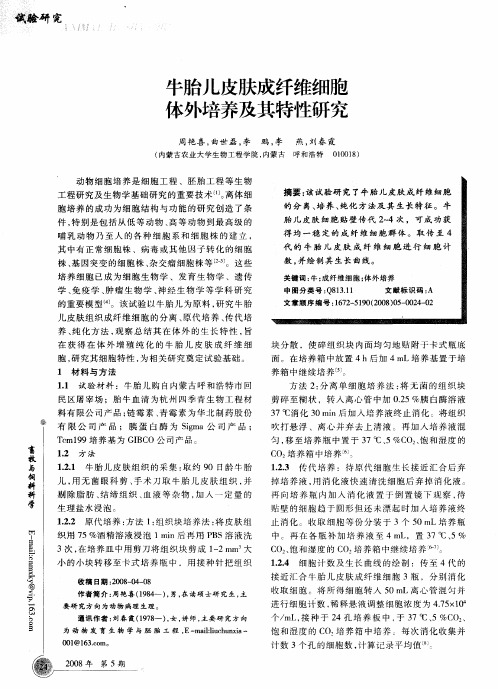 牛胎儿皮肤成纤维细胞体外培养及其特性研究