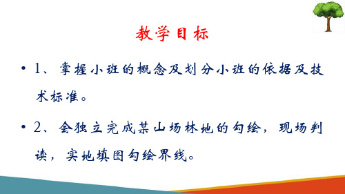 木荷、枫香混交林营造—外业调查小班区划(森林营造课件)