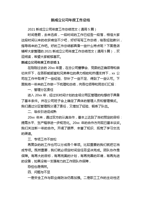 新成立公司年度工作总结