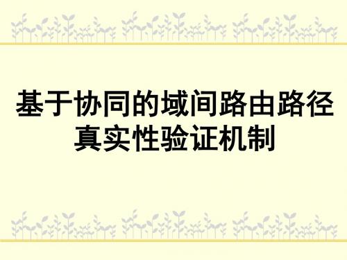 域间路由系统安全监测关键技术-SeebugPaper