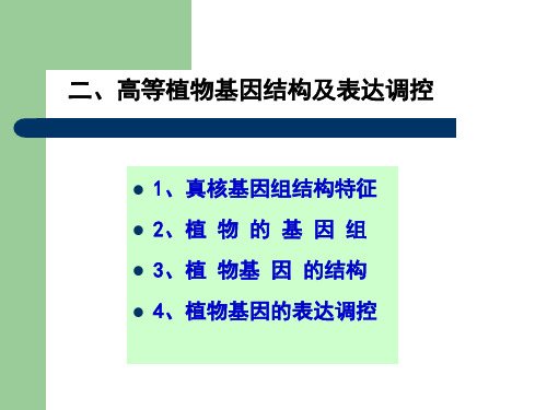 植物生理学专题PPT课件