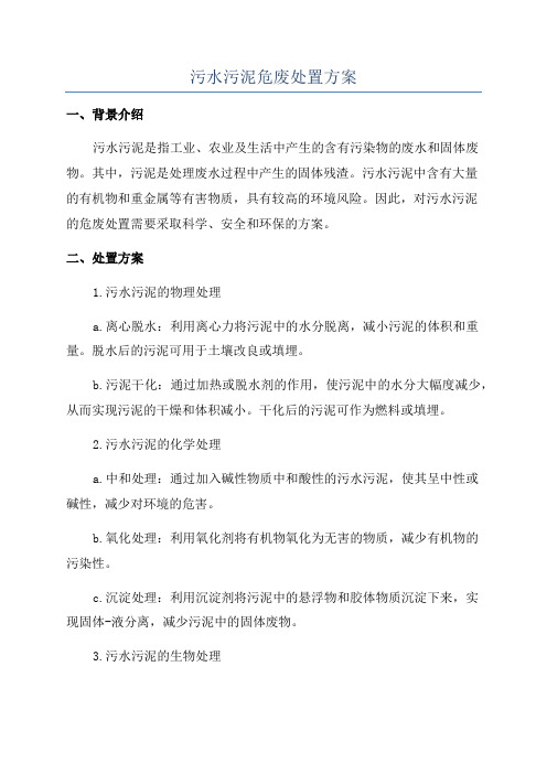 污水污泥危废处置方案