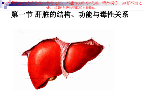 药物对肝脏的毒性作用培训课件