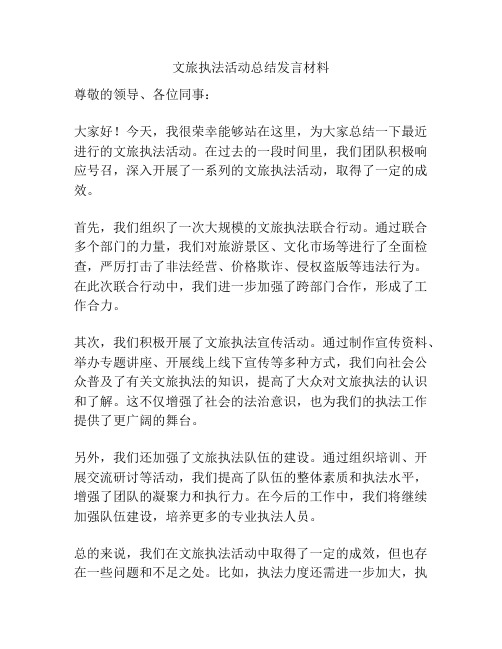 文旅执法活动总结发言材料