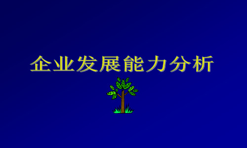 企业发展能力分析