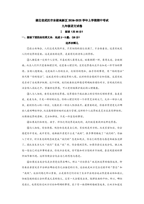 湖北省武汉市东湖高新区2024-2025学年九年级上学期期中考试语文试题(含答案)