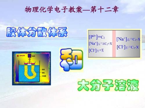 第十二章 胶体及大分子溶液