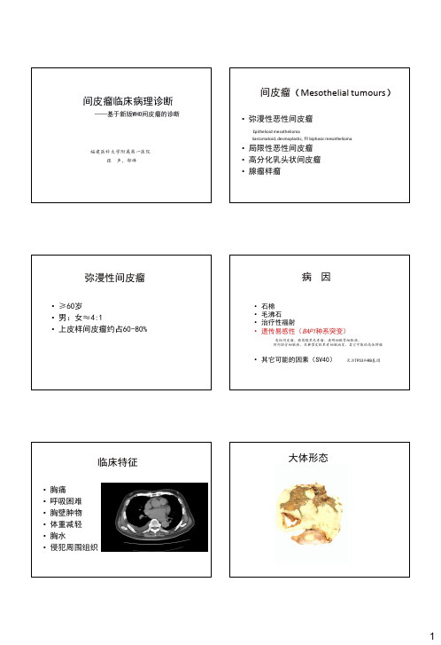 最新精品医学研究汇报-间皮瘤临床病理诊断 ——基于新版WHO间皮瘤的诊断