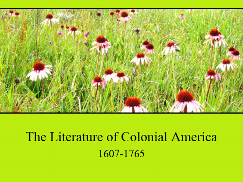 The Literature of Colonial America