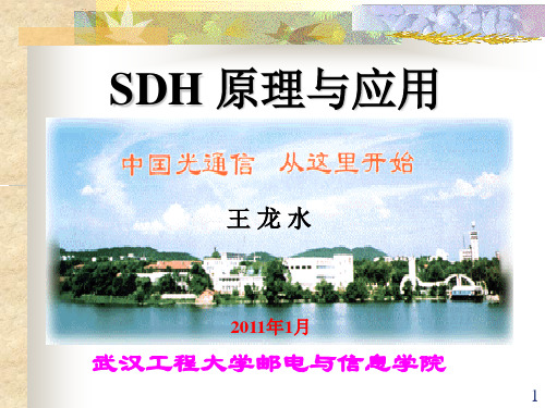 SDH原理与技术