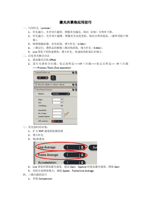 初学者 激光共聚焦应用技巧