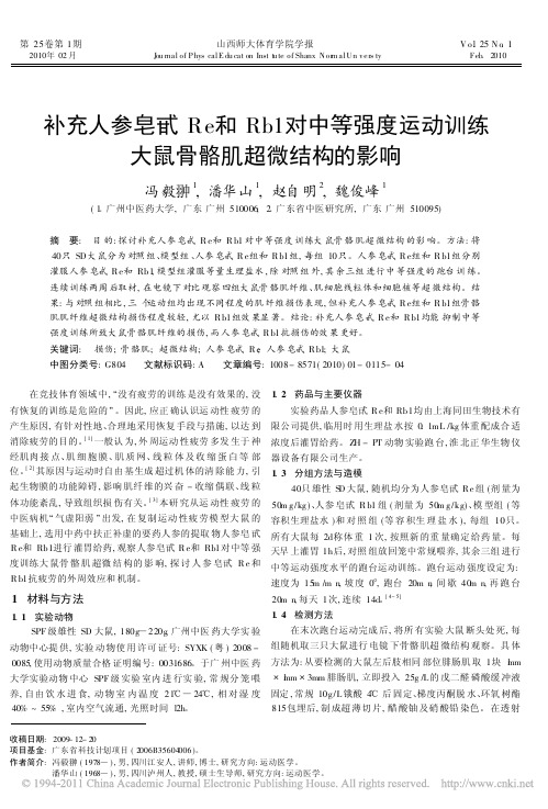 补充人参皂甙Re和Rb1对中等强度运动训练大鼠骨骼肌超微结构的影响