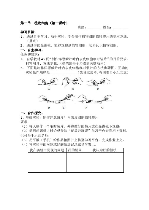 生物人教版七年级上册《植物细胞》导学案