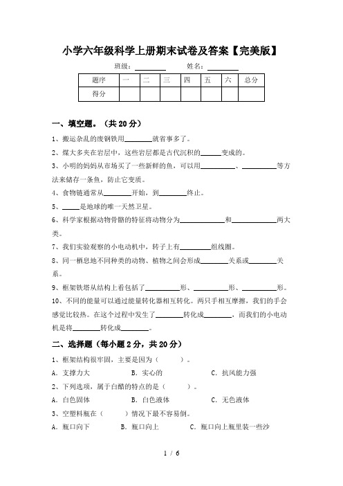 小学六年级科学上册期末试卷及答案【完美版】