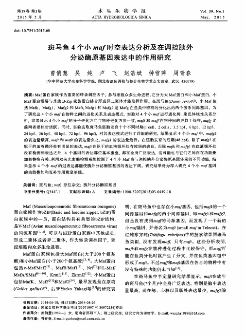 斑马鱼4个小maf时空表达分析及在调控胰外分泌酶原基因表达中的作用研究